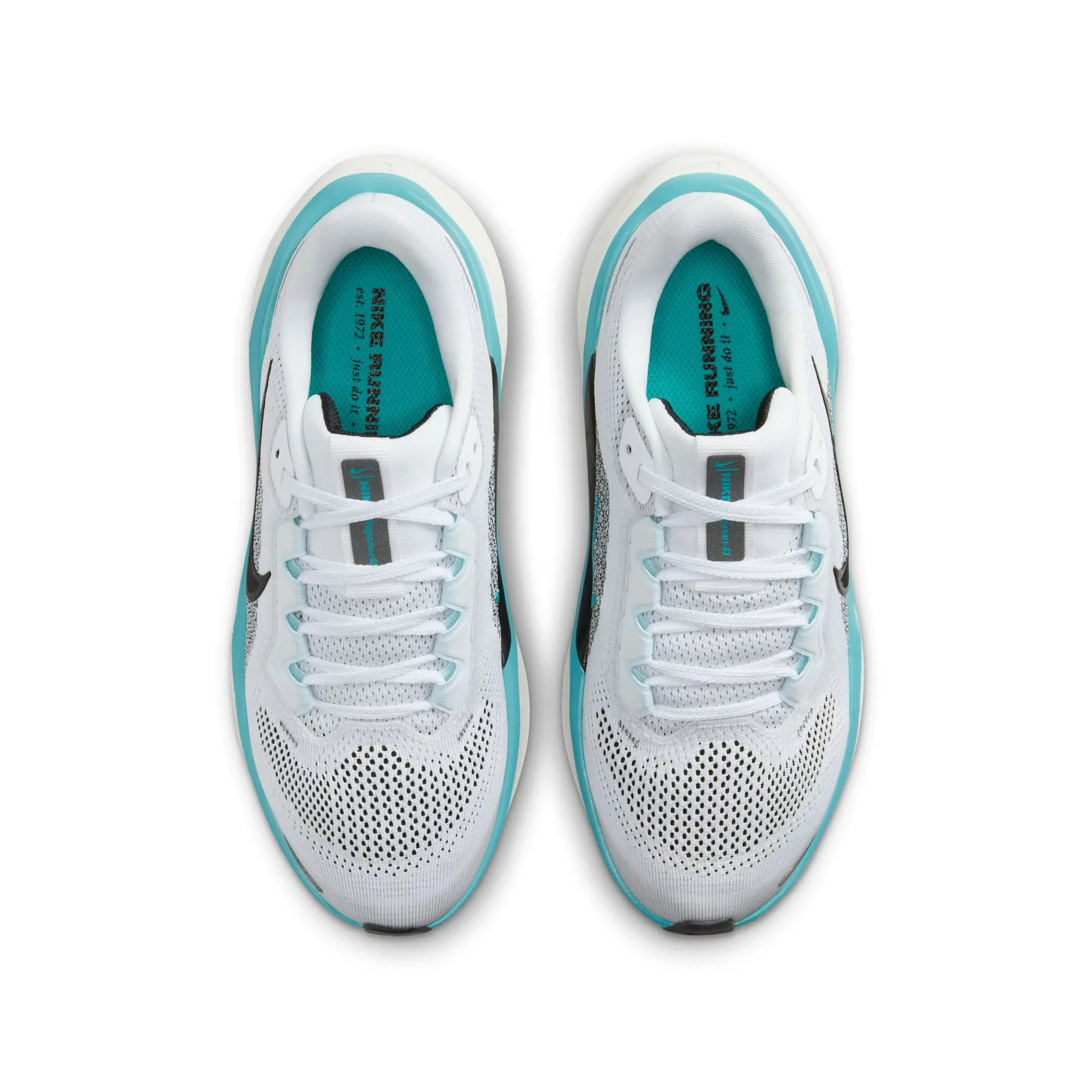 nike air max zoom pegasus 34
